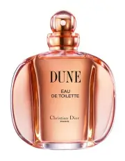 [DIOR] Dune Eau de Toilette 100ml