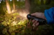 Coleman™ Rechargeable Classic 800 Lithium Ion Torch, Lightweight, Durable,
