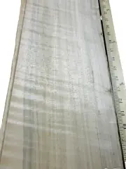 Maple Spalted Wormy Figured Ambrosia wood veneer 6" x 124" raw 1/42" thickness