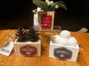 Target Bullseye Christmas 2022 Collector Boxes Pinecone, Mistletoe Snowballs