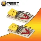 Victor Easy Set Mouse Trap (2 Pack) Heavy Duty Wooden Mouse Trap
