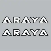 ARAYA - LETTERS - Custom - Reversed BLACK rim decals - Old school bmx