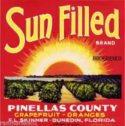 Dunedin Florida Sun Filled Orange Crate Label Art Print