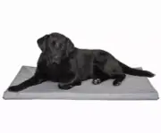 Superior Pet Canvas Water Resistant Dog Mat Puppy Pet Bed Crate Kennel Mid Grey