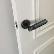 Electronic Handle Smart Fingerprint Door Lock Biometric Digital Code Door Lock