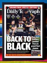 Framed 2022 PENRITH PANTHERS NRL Premiers Poster - 62cm x 44.5cm x 3cm