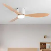Modern Led Ceiling Fan Without Lights DC Motor 6 Speeds Timing Fans 20CM Low