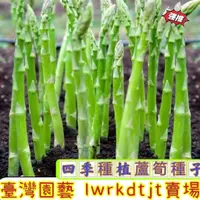 在飛比找蝦皮購物優惠-🍓【免運大熱銷】蘆筍種子 四季蔬菜家庭蔬菜世界名菜種一次吃多