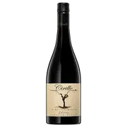 Cirillo Barossa Single Vineyard Shiraz 2023 - Buy Online | The Wine Collective Marketplace