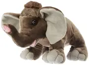 Cuddlekins Baby Elephant Plush Toy