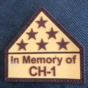 US Marshals Service EOW-DUSM Chris Hill “CH-1” vinyl DC version patch Very Rare