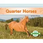 QUARTER HORSES