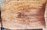 Quilted Curly Spalted Maple Wood 0192 Luthier Guitar Top Set 25x 16 x .375