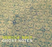 Veruca Salt Ghost Notes CD Brand New