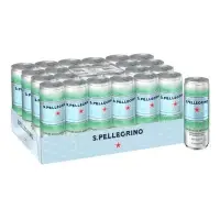 在飛比找Yahoo!奇摩拍賣優惠-San Pellegrino 聖沛黎洛 天然氣泡礦泉水 33