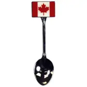 Jenkins Souvenirs 89985JE Can Spoon Flag