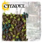 【奧丁模型】CITADEL COLOUR：蕨刺裝飾包