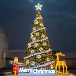 草屯出貨🔥聖誕樹 大型聖誕樹 聖誕樹套餐 家用 加密樹枝 多種規格 植絨落雪 聖誕樹商場 大型聖誕樹 SDS-22