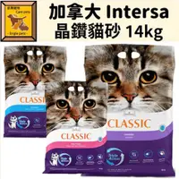 在飛比找蝦皮購物優惠-╟Engle╢ 加拿大 Intersa 晶鑽貓砂超強除臭凝結