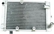 Compatible with 2003-2006 Suzuki Burgman 400 AN400 AN400S Aluminum Radiator Cooler Cooling Coolant 2003 2004 2005 2006