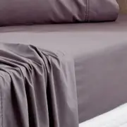 Sheridan Everyday Cotton 250TC Fitted Sheet in Charcoal
