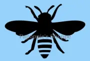 Stencil Primitive Rustic Bee Bumble Bee Yellow Jacket Insect U Choose Size