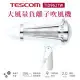 TESCOM TID962TW 大風量負離子吹風機 附集中式風罩/蓬鬆式烘罩雙配件組公司貨【贈台灣製 HER'S護】