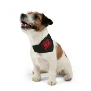 Sometimes Dead is Better Pet Bandana Collar kerchief Stephen King Pet Sematary