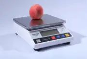 10kg/0.1g Lab Digital Electronic Scale Industrial Weighing Balance Scales 220V