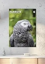 Parrots Calendar 2026