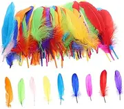SHINEOFI Plumes 120pcs for Wedding Party Craft Plume Table Centerpiece Home Decor