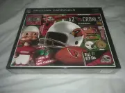 NFL Arizona Cardinals Retro Puzzle Jigsaw Puzzle Football 500 Pieces Pcs
