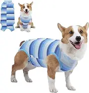 Dog Recovery Suit for Abdominal Wounds or Skin Diseases, Breathable Dog Surgery Recovery Suit for Dogs, E-Collar Alternative After Surgery Wear Anti Licking Wounds (Blue, M)