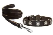 Dean and Tyler Bundle "Simple Treasure" Collar 36x1.5" With Leash 6 FT Brown