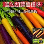 【廠家直銷批發】新品五彩胡蘿蔔夏季秋季耐熱彩色胡蘿蔔種子可盆栽小頂胡蘿蔔種子發芽率高 限時下殺