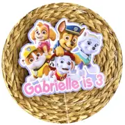 CUSTOM Paw Patrol Girls Skye Everest Cake Topper Party Birthday Personalised