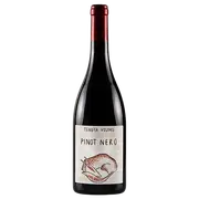 Tenuta Volpare Pinot Nero DOC 2022 - Buy Online | The Wine Collective Marketplace