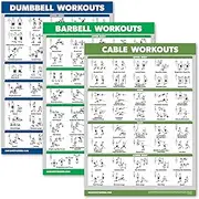 Palace Learning 3 Pack - Dumbbell Workouts + Barbell Exercises + Cable Machine Workouts - Set of 3 Workout Charts (LAMINATED, 18” x 24”)