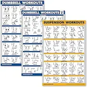 Palace Learning 3 Pack: Dumbbell Workouts Posters Volume 1 & 2 + Suspension Exercises - Set of 3 Workout Charts