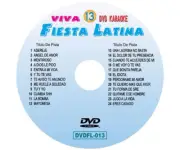 VIVA FIESTA LATINA SERIES KARAOKE DVD VOL.13 MARIACHI Free Shipping USA