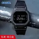 Ca-s-io G-SH-OCK G-5600 DW5600BB 消光黑 電子錶 手錶 男士腕錶