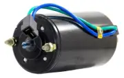 POWER TILT TRIM MOTOR FOR JOHNSON EVINRUDE OMC ETK4102 380361 38213 382220 6209
