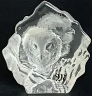 Mats Jonasson Wildlife - Mini Owlets