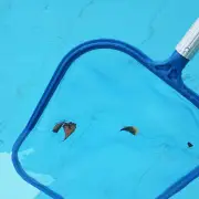 Leaf Skimmer Net Fine Mesh pool skimmer Swimming Pool Cleaning Net Leaf Skimmer