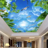 在飛比找樂天市場購物網優惠-歐式客廳臥室層頂墻布天花吊頂壁紙藍天白云裝飾壁畫立體個性墻紙