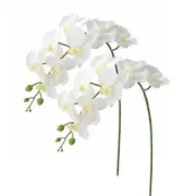 2pcs Real Touch Orchids Stems Artificial Flowers Fake Phalaenopsis Orchid White