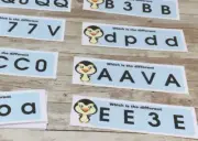 Penguin - Learning Centers - Which is Different - 24 Laminated cards