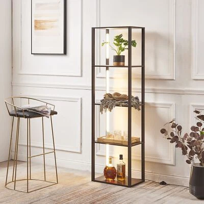 FENLO Fancy - LED Display Shelf with Dimmable Lights, LED Shelf Floor Lamps f...