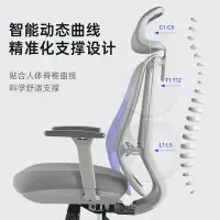 在飛比找Yahoo!奇摩拍賣優惠-促銷打折 Ergoup 有譜 致炫A 人體工學椅電腦椅游戲電