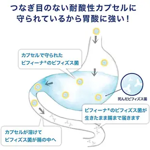 日本直送 森下仁丹乳酸菌 60日份 50億 益生菌 晶球益生菌 調整腸胃 加強版